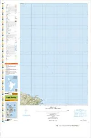 AY32 Cape Rodney Topographic Map by Land Information New Zealand (2013)