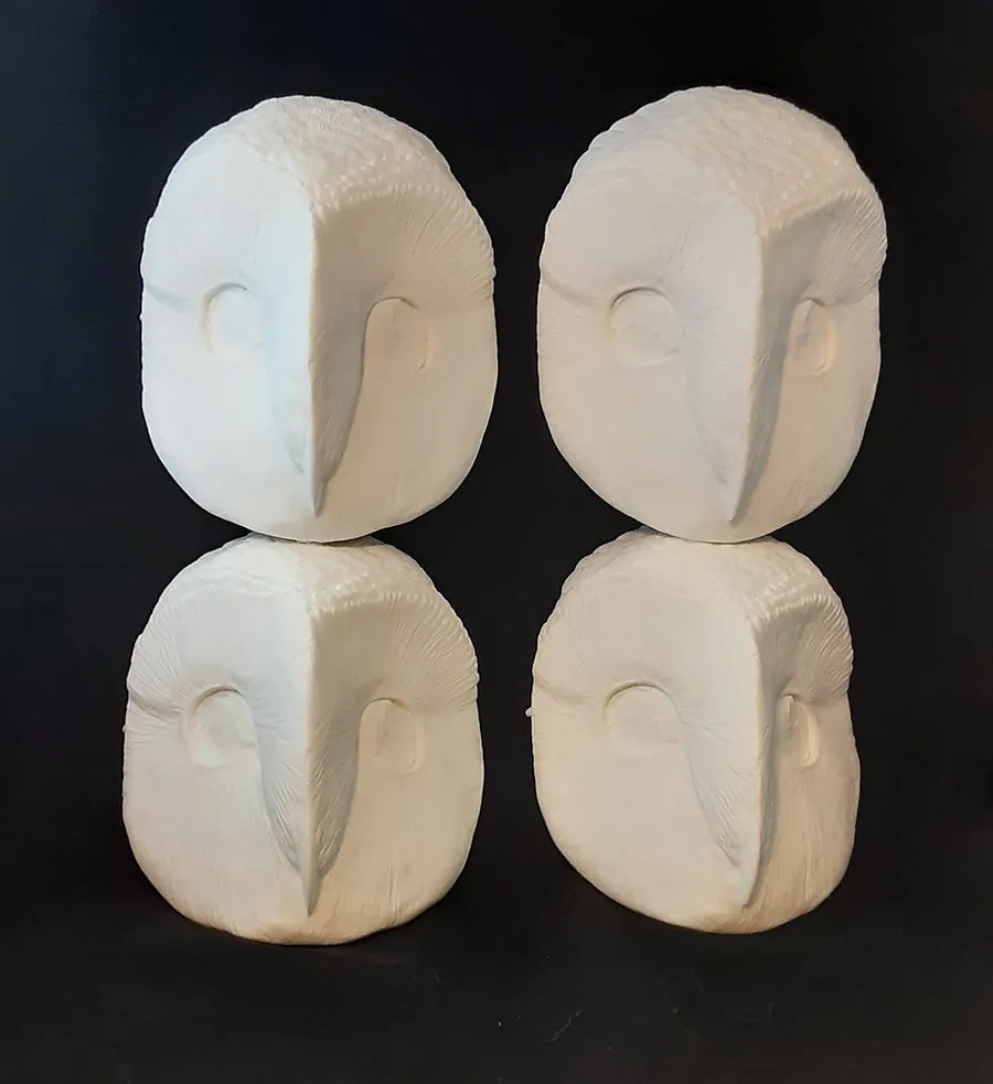 BARN OWL BLANK MASK