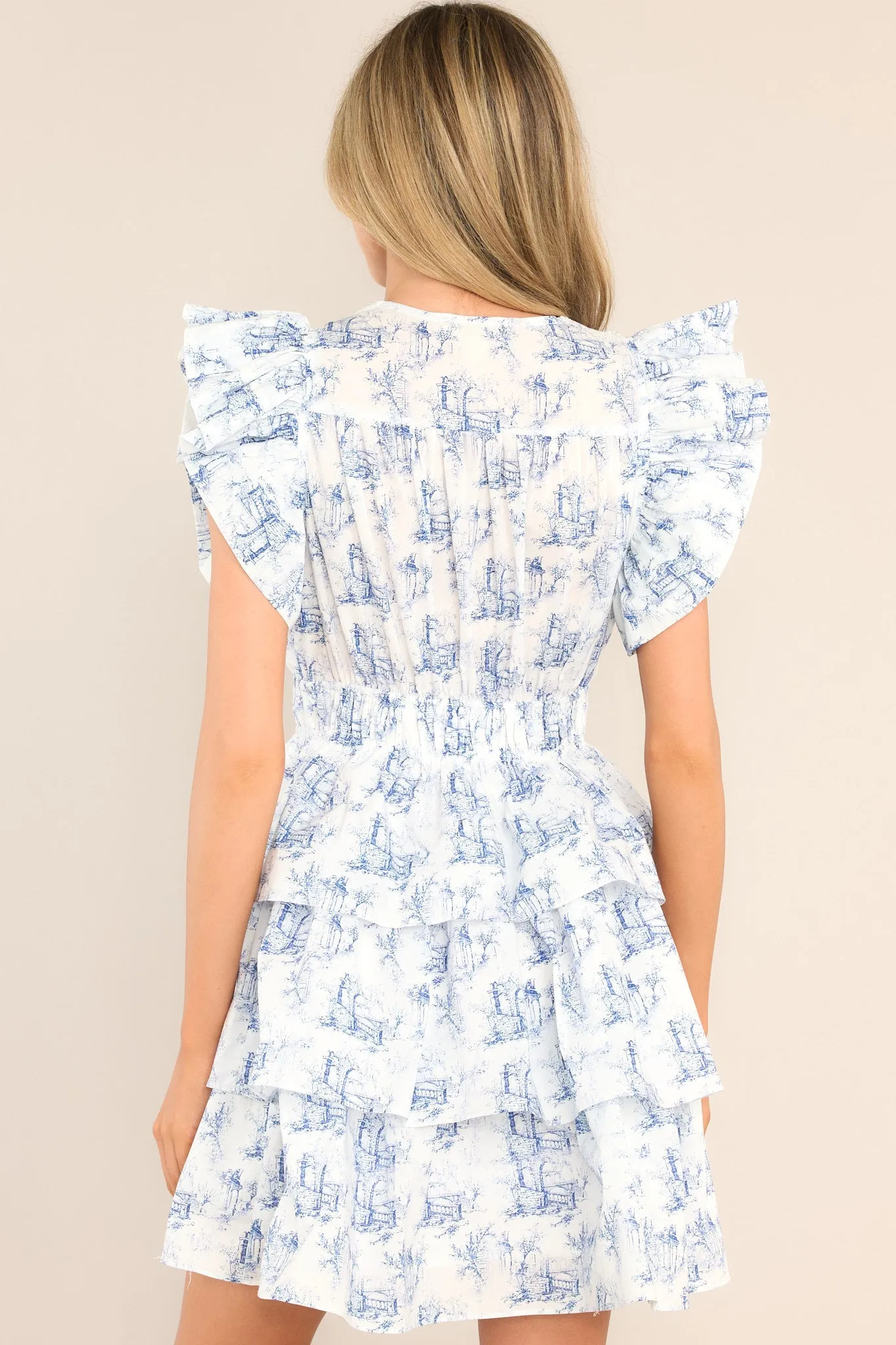 Castles Crumbling Blue Toile Ruffle Dress