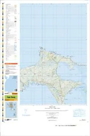 CI02 Cape Young Topographic Map by Land Information New Zealand (2009)