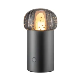 IRIS Lamp Mobile Rechargeable LED