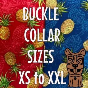 Just Pineapples Dawg Collar