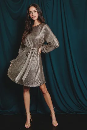 Long Sleeve Metallic Mini Dress