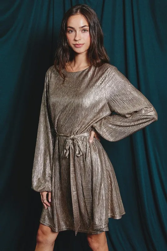 Long Sleeve Metallic Mini Dress