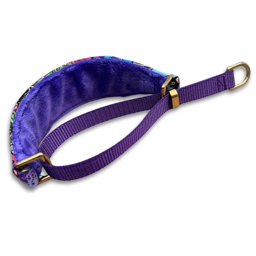 Tropical Enchantment Walking Hound Collar  8-11"